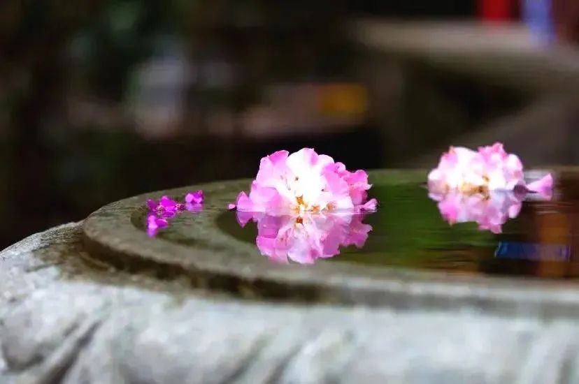 ��ϰ�Ѹģ���ô��?