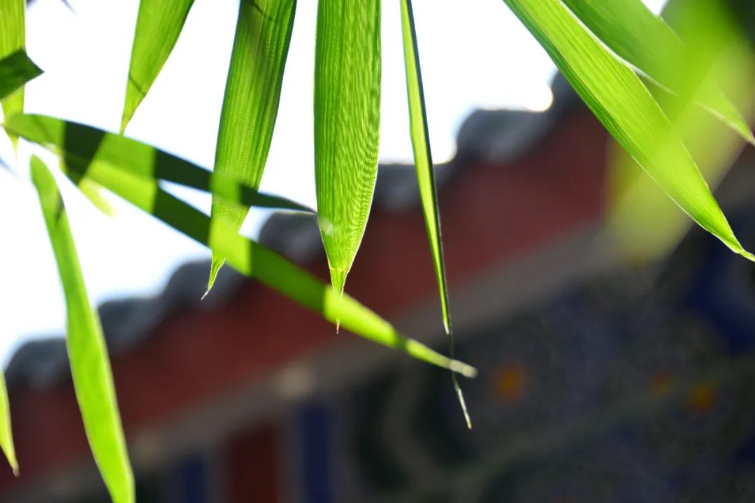 ѧ����������������ʱ���������˻��£�����Զ��