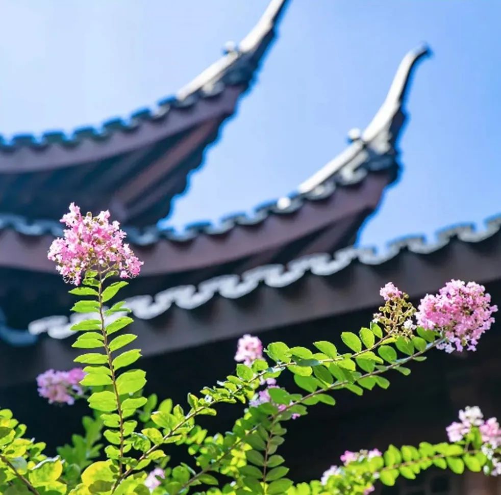 因为无常,才有希望! 因为无常,才有希望!