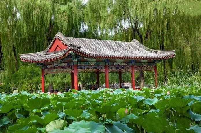 因为无常,才有希望! 因为无常,才有希望!