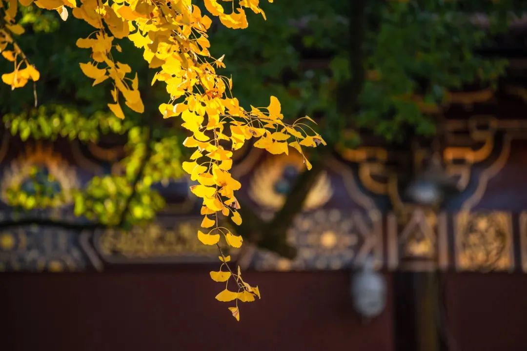 ��ںͻ�����������Ϊ������ʱ�õ�