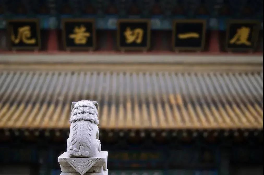 世间有四件事,你不可轻视! 世间有四件事,你不可轻视!