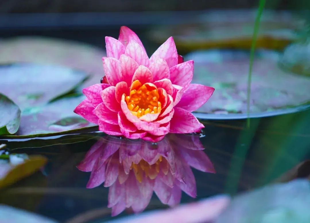 �Ӽ����еķ���ӣ������ӡ����е�ģ��