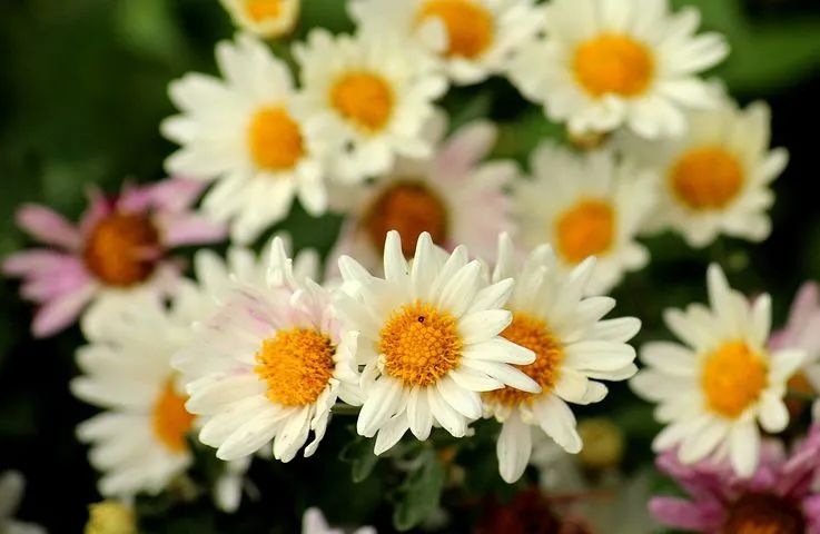 放下对外境的执著,就不会在别人的情绪中悲欢 放下对外境的执著,就不会在别人的情绪中悲欢