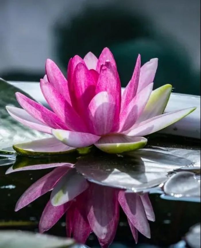 �����Ҫ֪�������������ĸ���