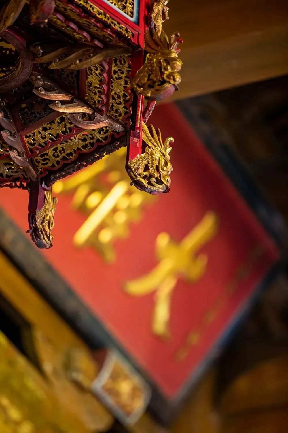 �����Ҫ֪�������������ĸ���