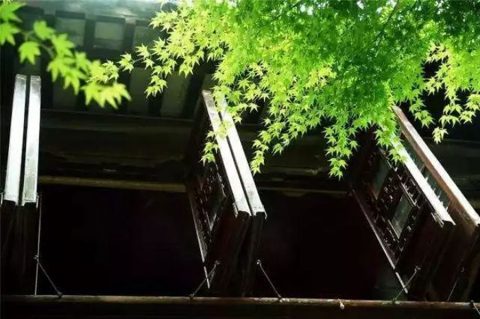 一念放下,万般自在 一念放下,万般自在