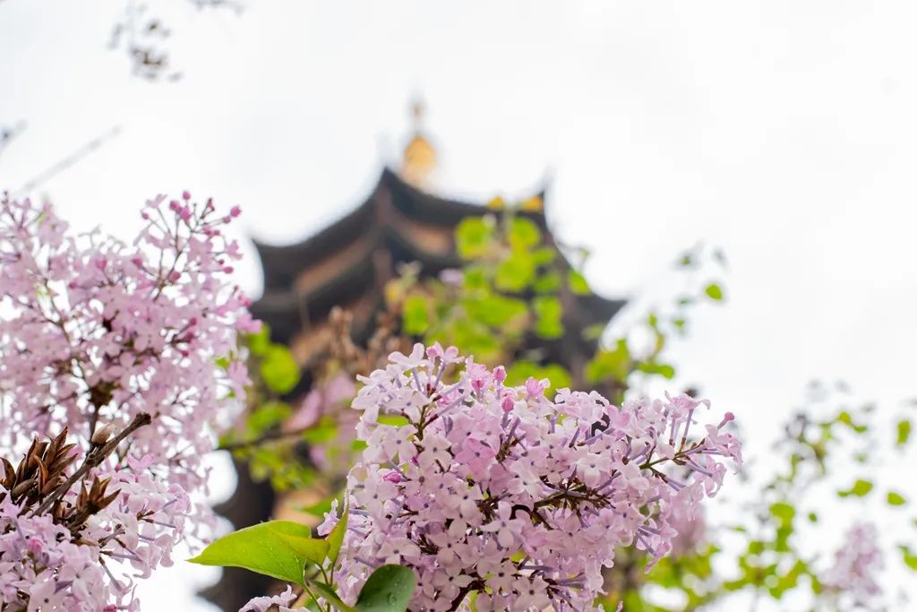 ������Ҫ�����ˡ������ס��������