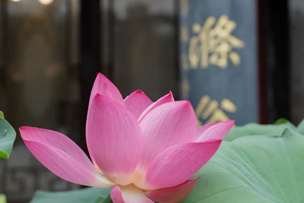 ������Ҫ�����ˡ������ס��������