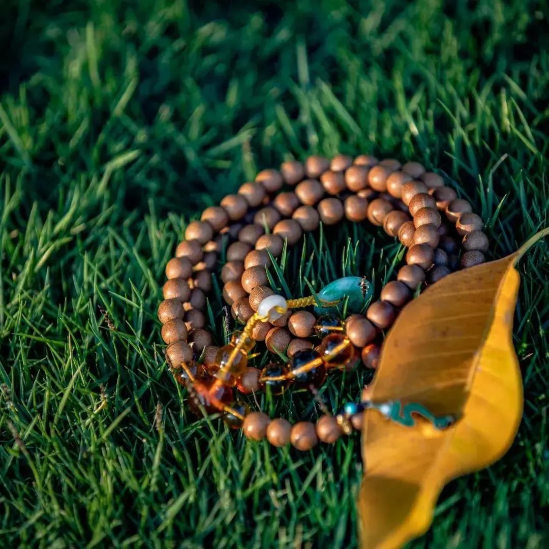 散念佛号要做回向吗? 散念佛号要做回向吗?