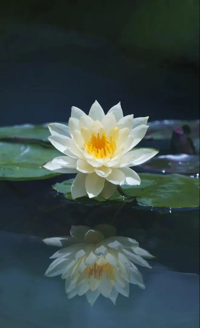 �����ʮ����ʲô��ϵ��