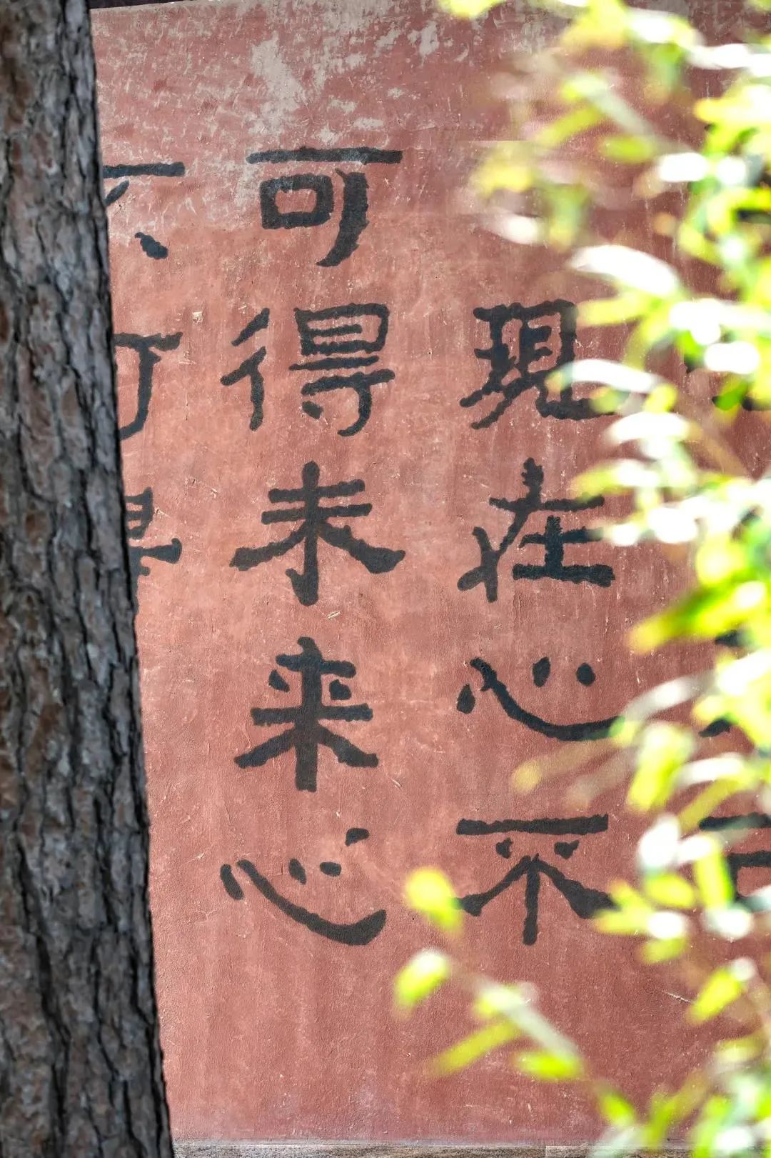 ѧ�����Ҫ�����ĸ����ģ�ȱһ����