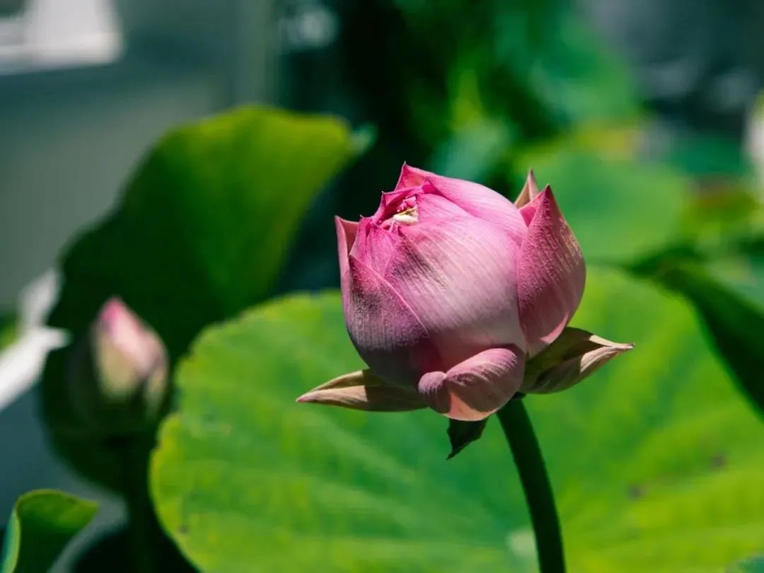 ����ѧ��֮��Ҫ�޸��޻�