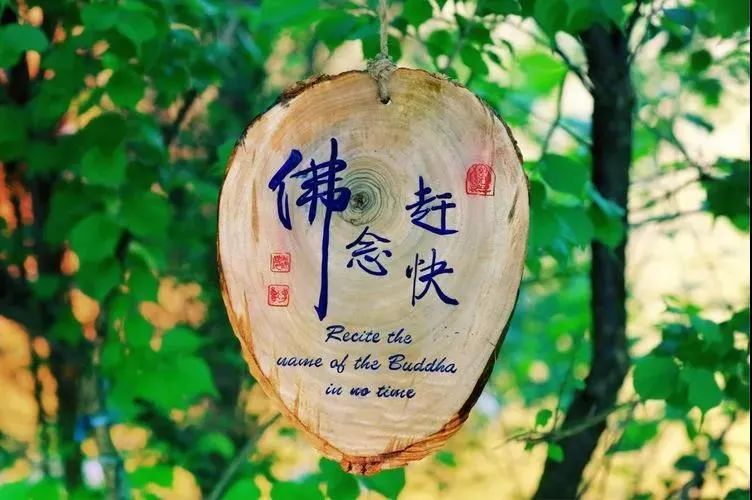 �Լ�����ĵ��׶Բ��ԣ�