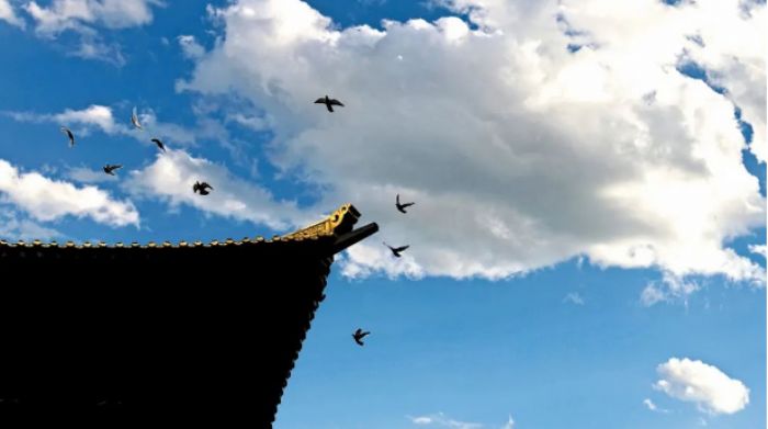 �Կ������ǲ��Ǹ��أ�