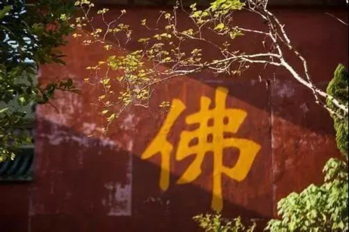 ����һ��ƽ���ģ�Ц���������ֿ࣡