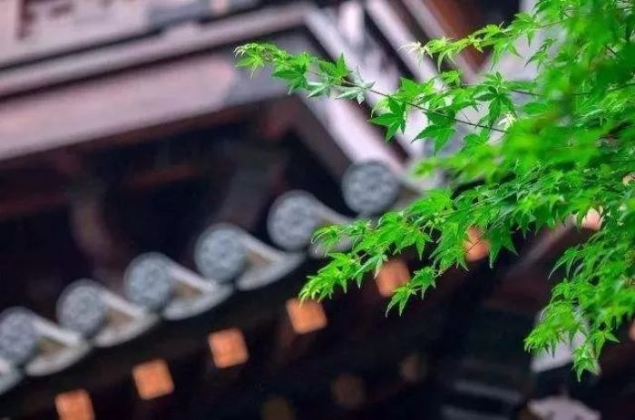 梦中明明有六道,觉后空空无大千 梦中明明有六道,觉后空空无大千