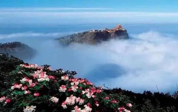 智者大师:你问我生到哪里去?让我来告诉你 智者大师:你问我生到哪里去?让我来告诉你