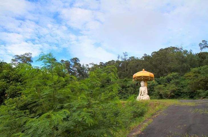 人生中最可怕的两个字,犹如致命毒蛇 人生中最可怕的两个字,犹如致命毒蛇