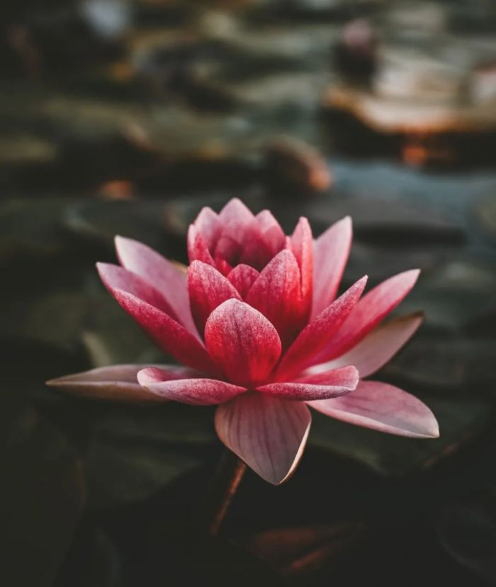 ����ʮ�£�һ������