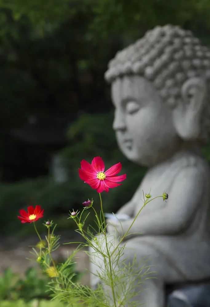 �������࣬����ִ����_​