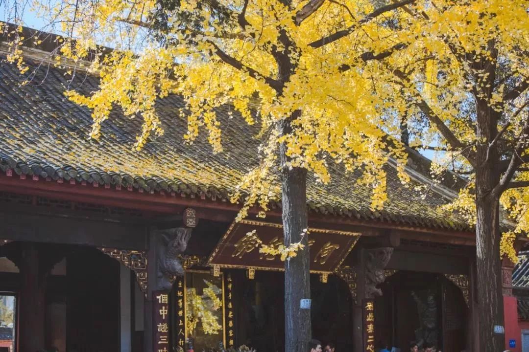 �����ǵ�Ե�������ǵ�ҵ��