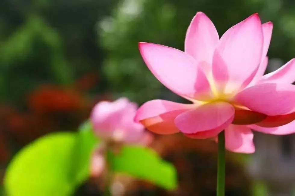 每个人有多少福报,完全由自己决定 每个人有多少福报,完全由自己决定