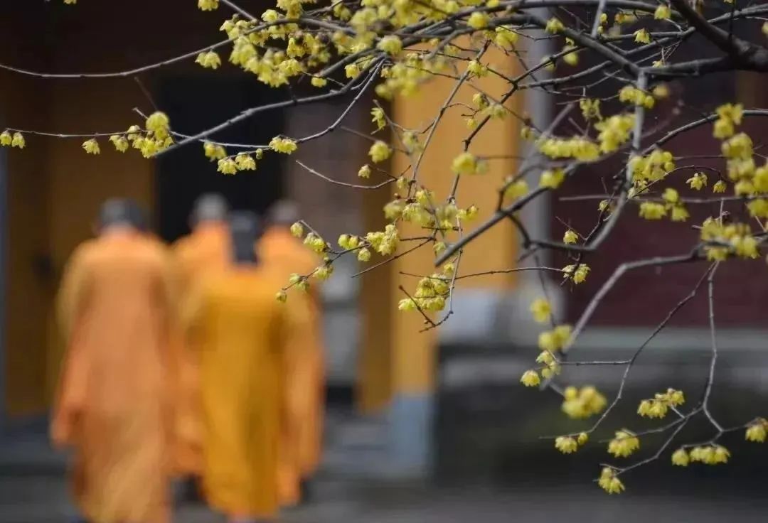 ��������������������������