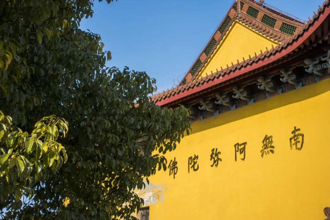 Ϊʲôһ���ž��ܻ������ȣ����ܾ����ȣ�