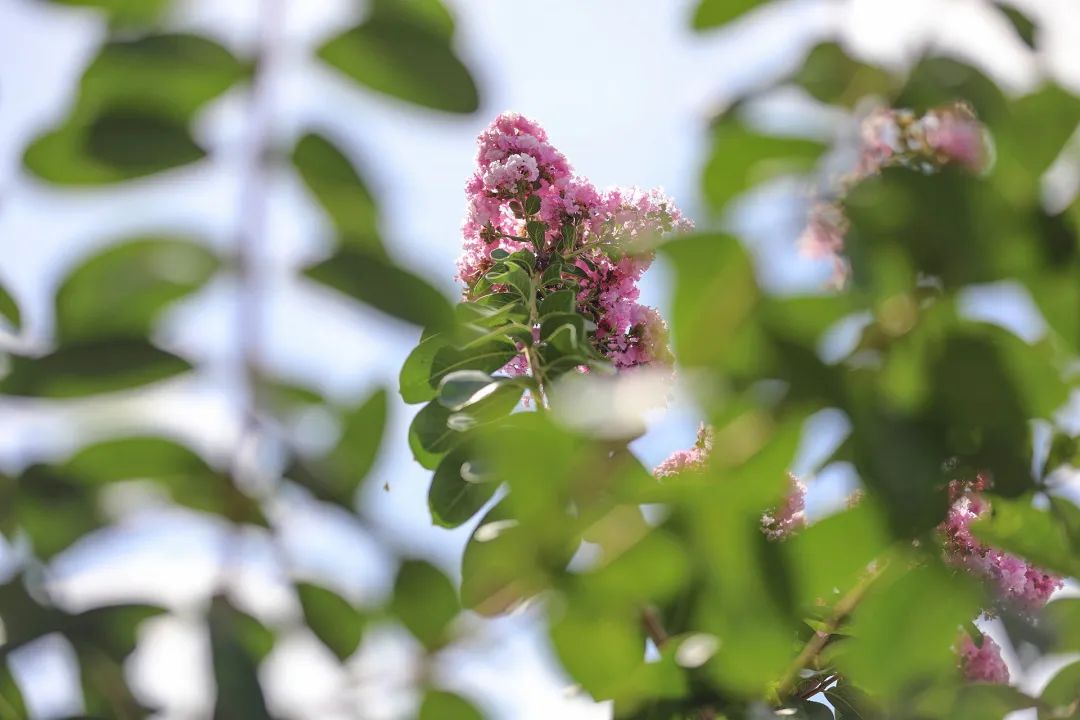 ����������һ�����£���Ҫ�����������ǣ�