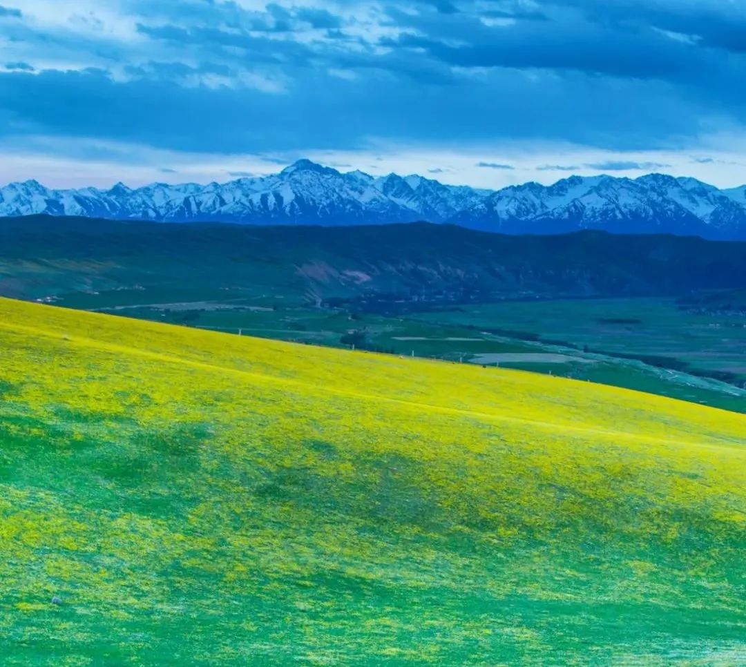 ӡ�ⷨʦ�����ܿ����ߣ���֪��ſ࣬�����ֶ�