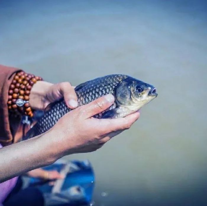 �������Ʒ������κ��˶�������������