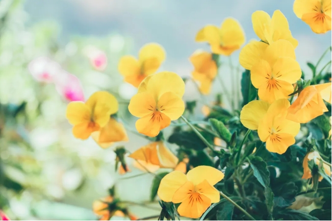 ���������ǵ����Ĳ��ڼ��޷ֱ�