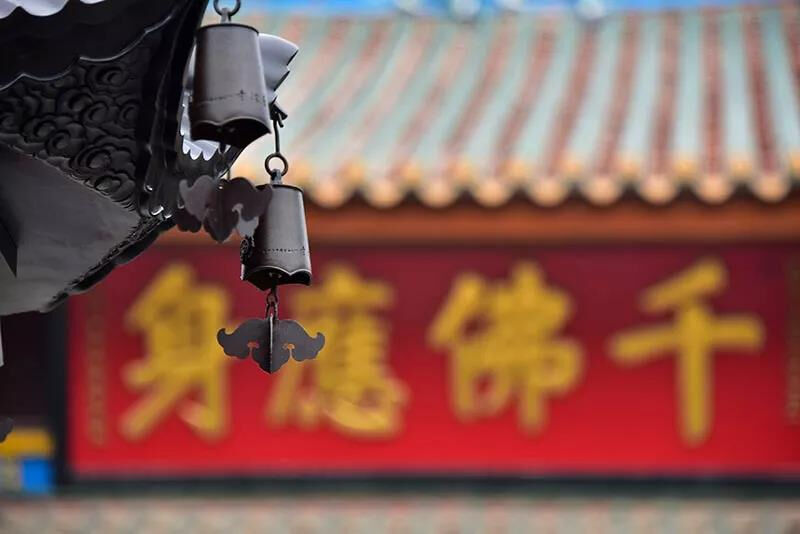 净慧老和尚:面对挣扎与无奈怎么办呢? 净慧老和尚:面对挣扎与无奈怎么办呢?