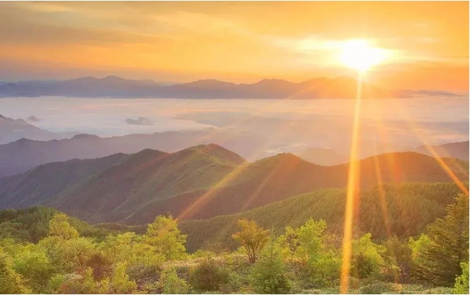 净慧老和尚:面对挣扎与无奈怎么办呢? 净慧老和尚:面对挣扎与无奈怎么办呢?