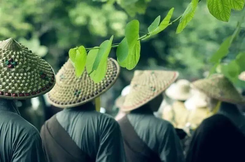 这四个人为什么令人敬仰? 这四个人为什么令人敬仰?