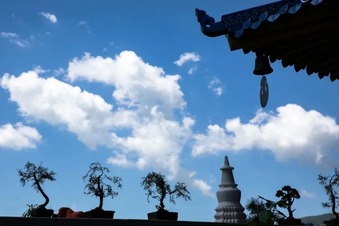 这四个人为什么令人敬仰? 这四个人为什么令人敬仰?