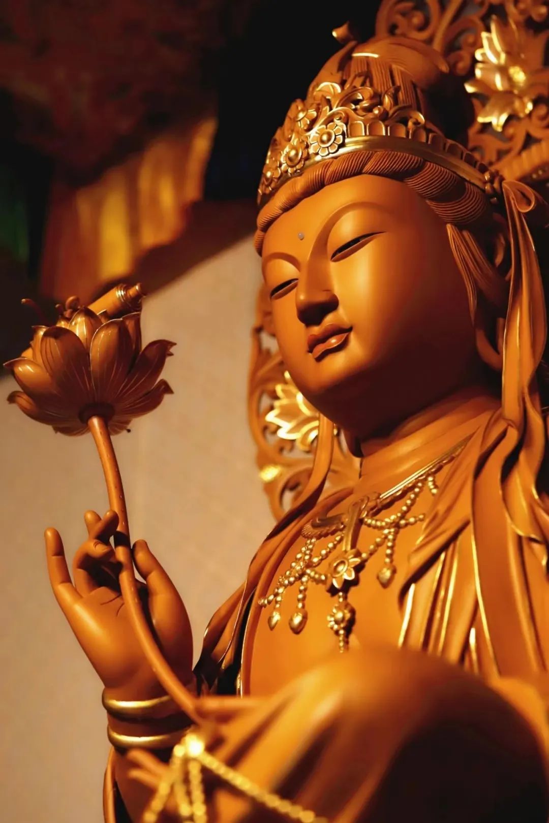 ��ɽ��ʦ������������