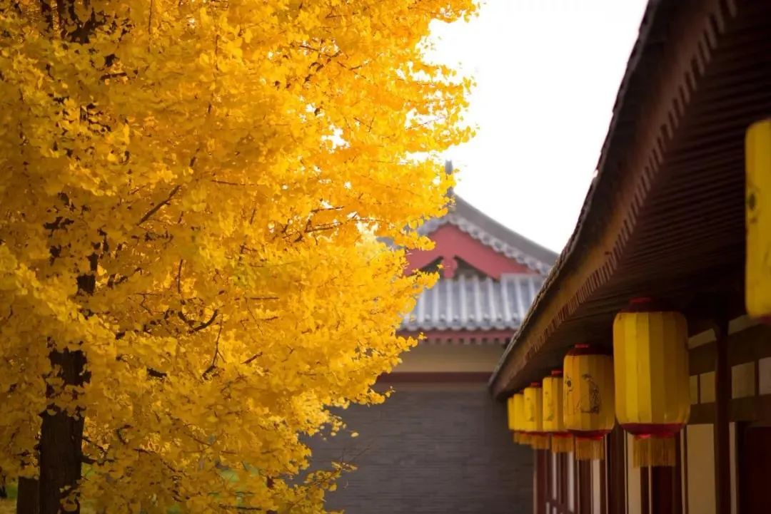 佛弟子应该如何建立正确的人生观? 佛弟子应该如何建立正确的人生观?