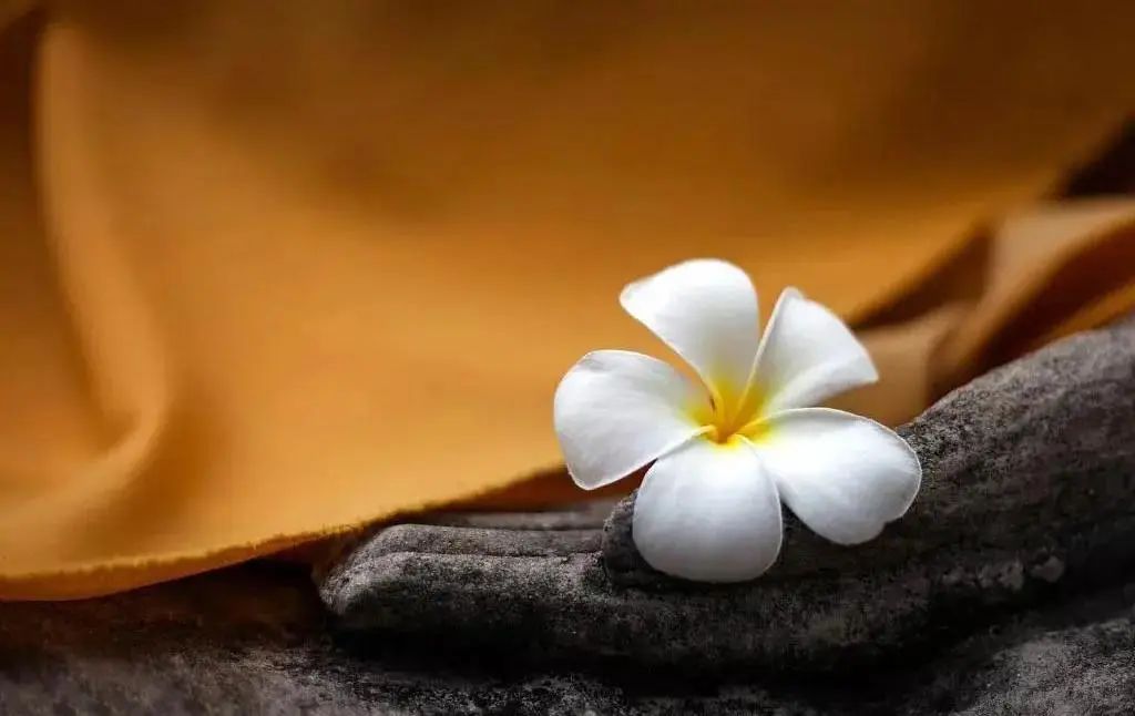 �����Ϻ��У������־��綼�ǲ�