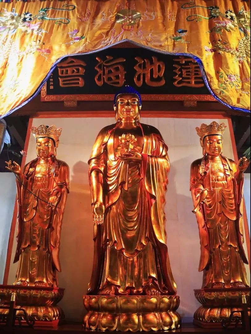 怎样才能保证决定往生?来看祖师大德怎么说 怎样才能保证决定往生?来看祖师大德怎么说