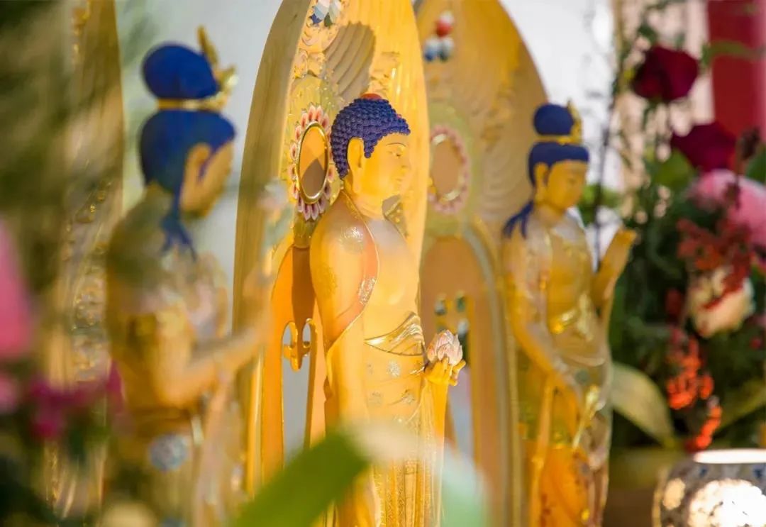 �������⼸�㣬������Ч��