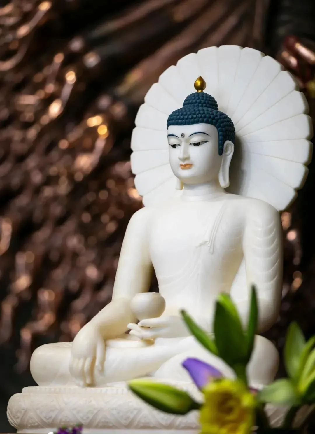 释迦佛陀为什么要介绍我们去极乐世界? 释迦佛陀为什么要介绍我们去极乐世界?