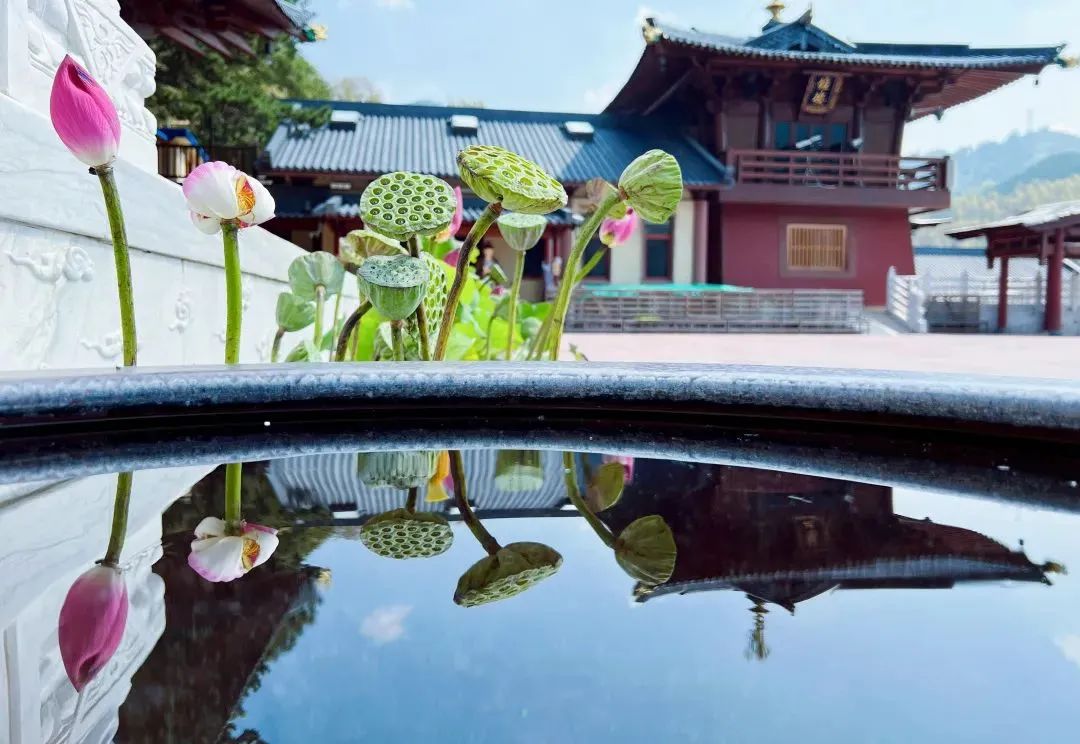 做善事与念佛的关系 做善事与念佛的关系