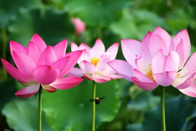 ����������������������ѧ����Ҫ������Щ�����ϵġ�������