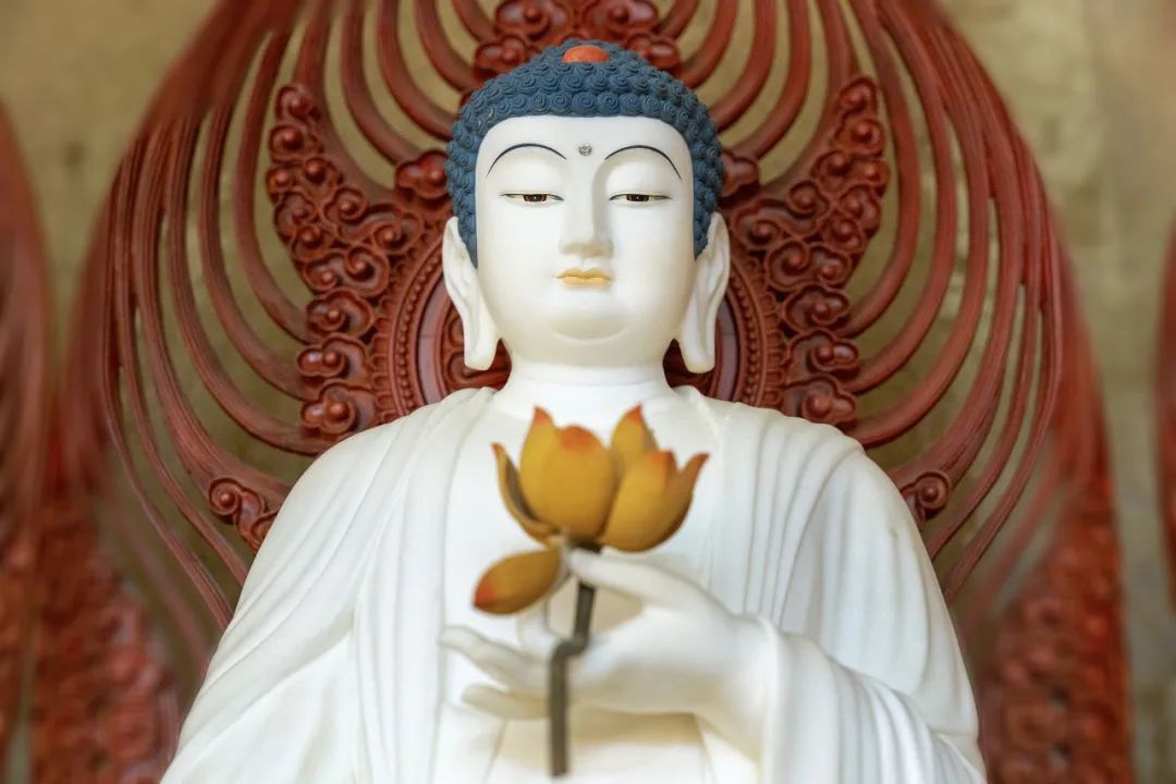 Ī����ŵ��п����k�ǳ��������������۷�