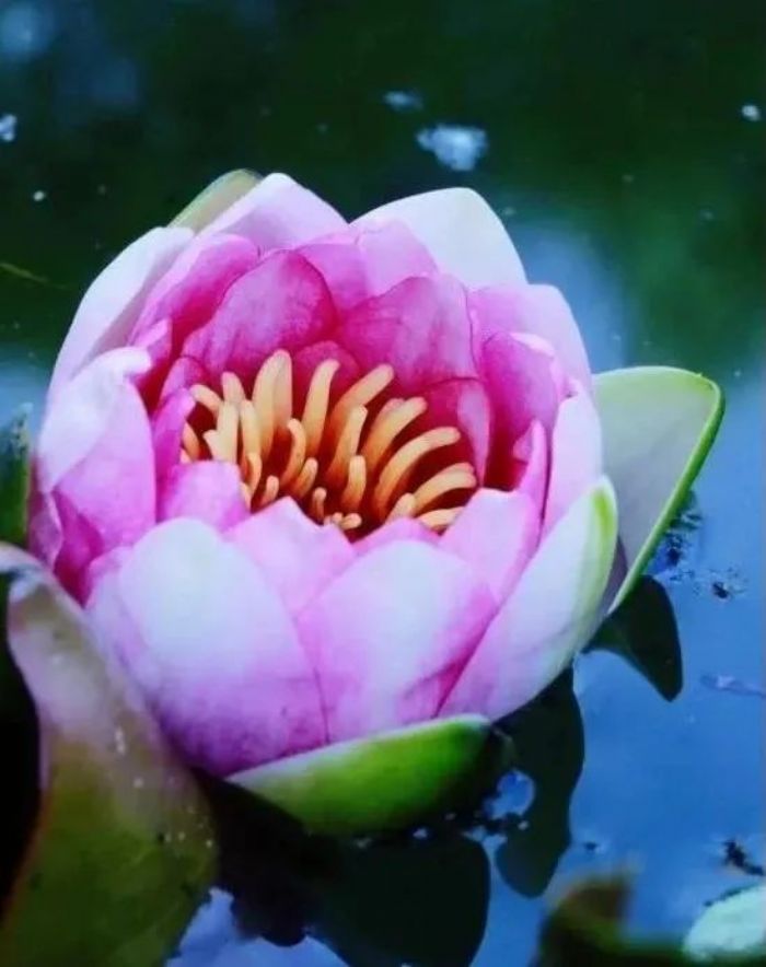 出世与入世如何才能两全其美? 出世与入世如何才能两全其美?