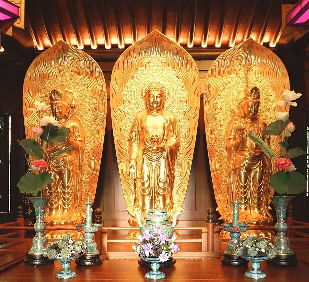 �ֽ����ƽ�ģ�������ֱ��