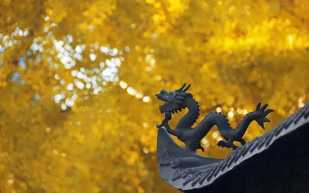 娑婆世界的快乐,没有一个是安稳的 娑婆世界的快乐,没有一个是安稳的