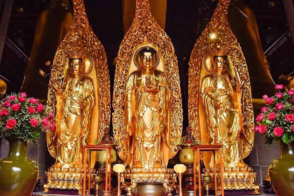 印光法师:佛法真利益,唯恭敬至诚者,能得其全 印光法师:佛法真利益,唯恭敬至诚者,能得其全